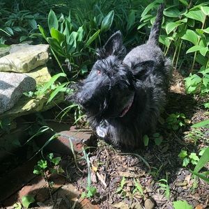 Meet your Posher, Adare